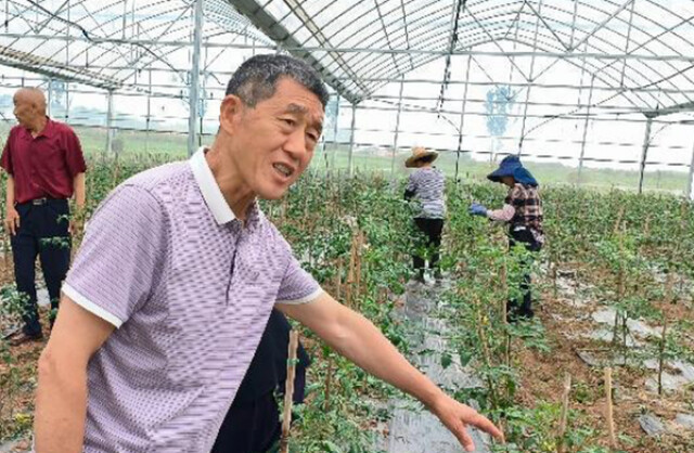 党佑坤:把论文写在田埂上,把学问扎进泥土里|潇湘银辉
