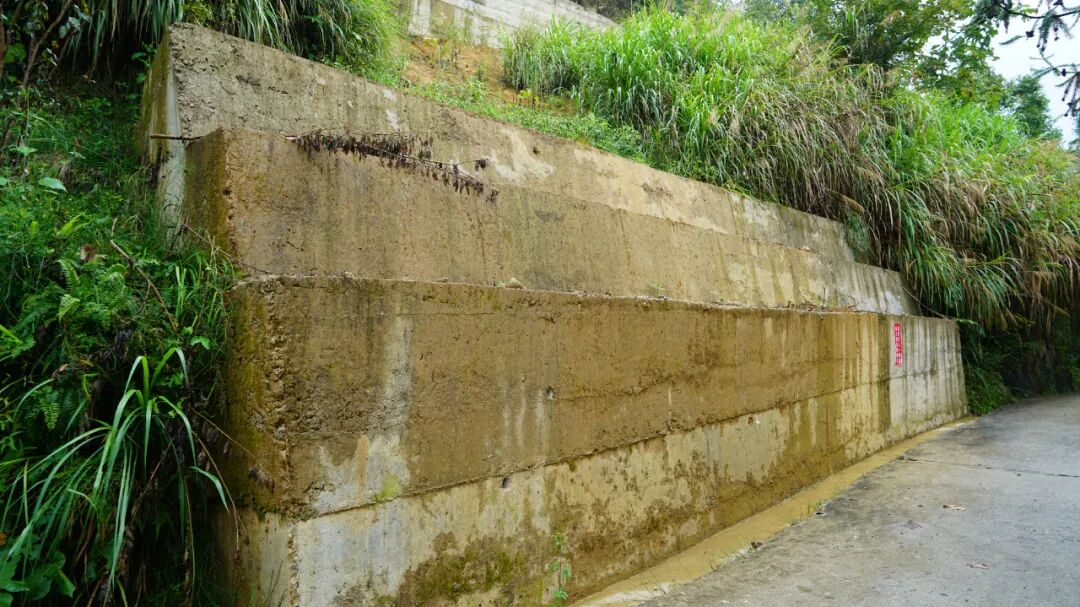 桂东:微建议解民忧,塌方路变坦途
