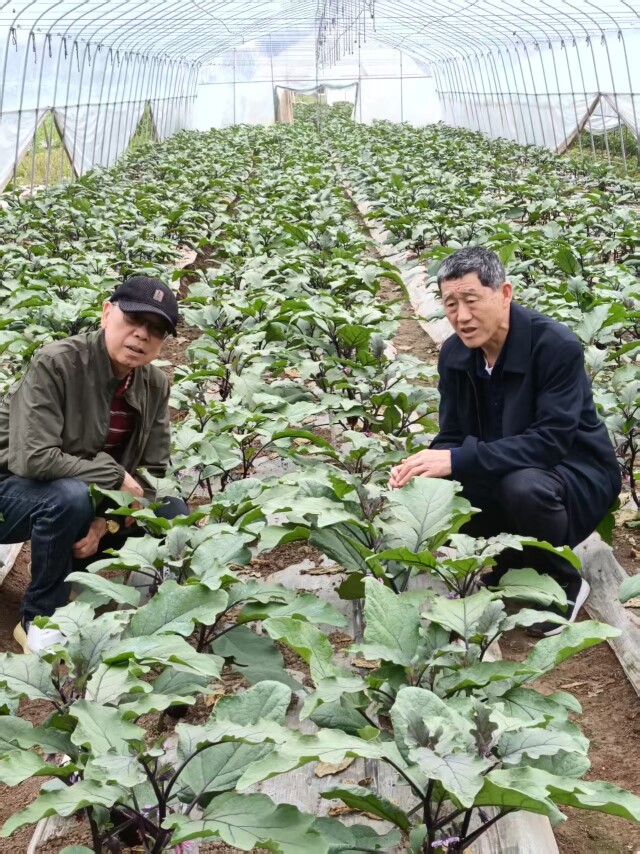 党佑坤:把论文写在田埂上,把学问扎进泥土里|潇湘银辉