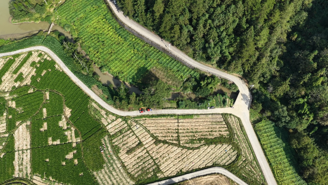 落地见效!一条微建议,架起“连心桥”