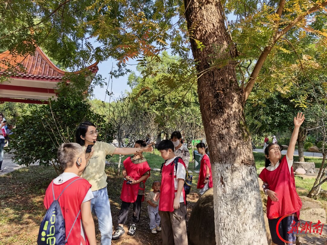 重阳寻秋入园来 文脉润心亲子游——湖南烈士公园联合湖南省博物馆举办“岁时记”重阳主题亲子活动