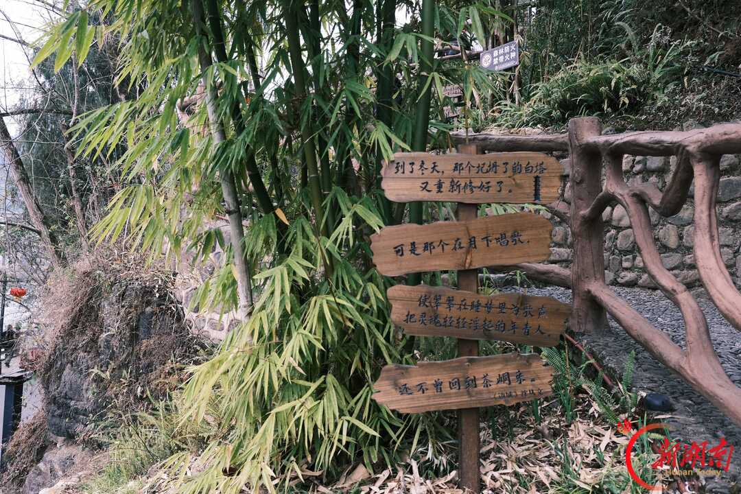 青春合伙人丨茶峒行:循着《边城》,赴一场沱水边的旧梦