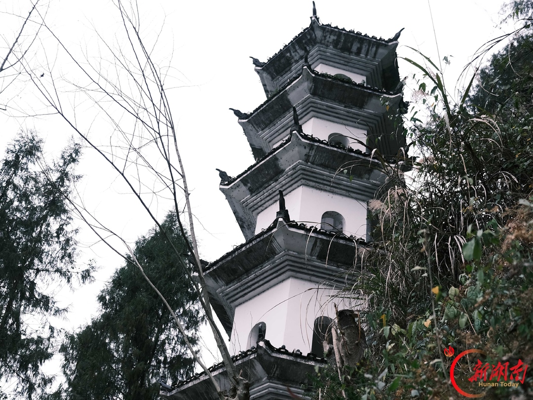 青春合伙人丨茶峒行:循着《边城》,赴一场沱水边的旧梦