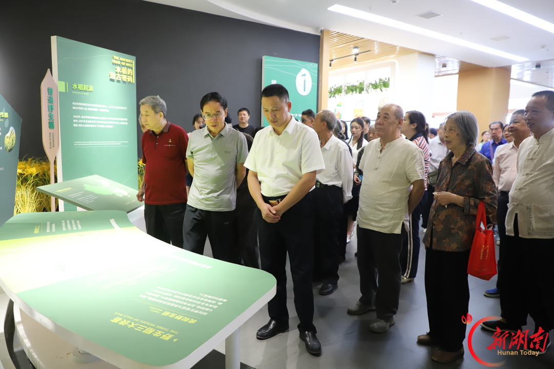 粮丰农稳安天下,和美乡村迎重阳 衡阳市农业农村局开展“看发展・话振兴・庆重阳”参观考察活动