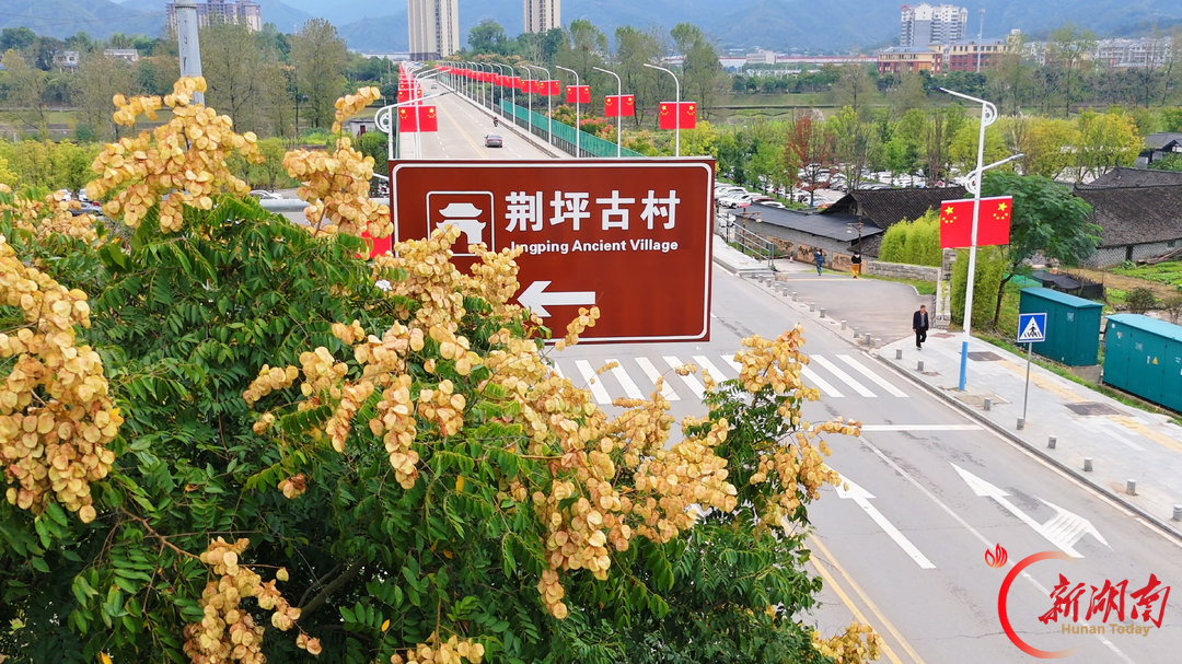 图片新闻 | 中方:栾树映长街 秋日好风景