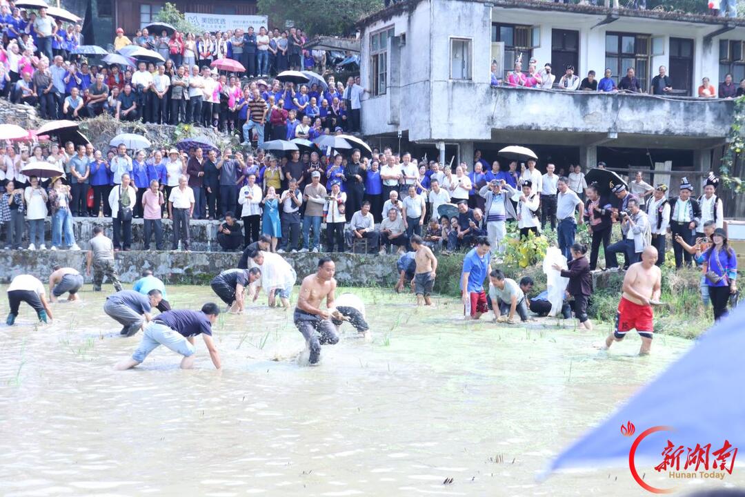 通道:湘桂黔边寨共赴一场重阳之约