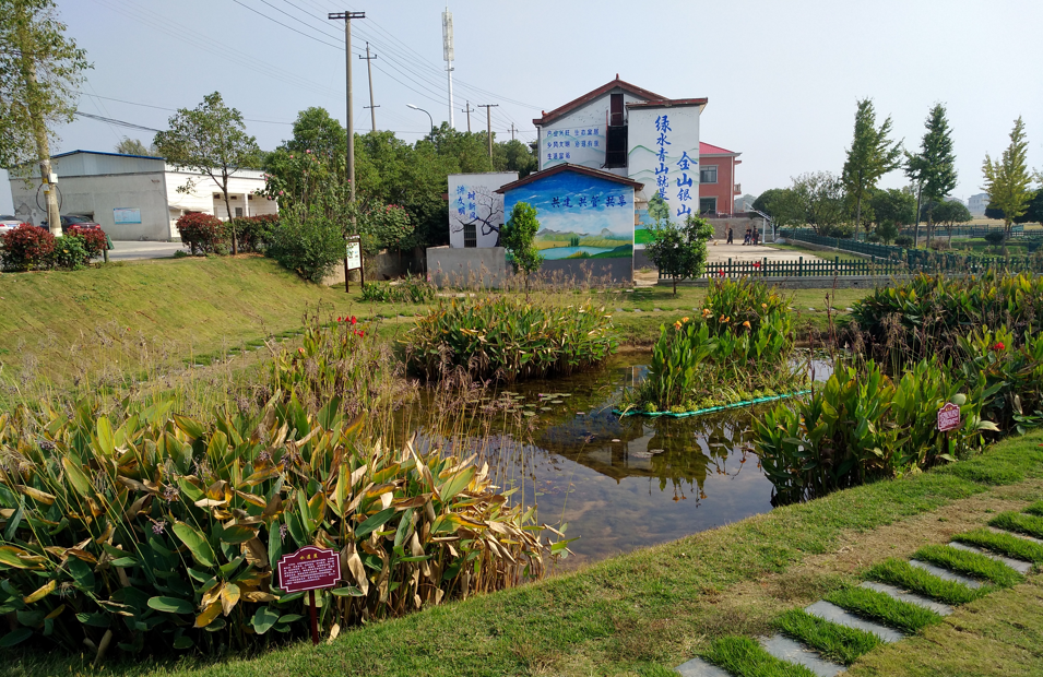 “十年治水润三湘”①丨碧水欢歌 旋律更悠长——长沙市全面推行河长制十周年综述