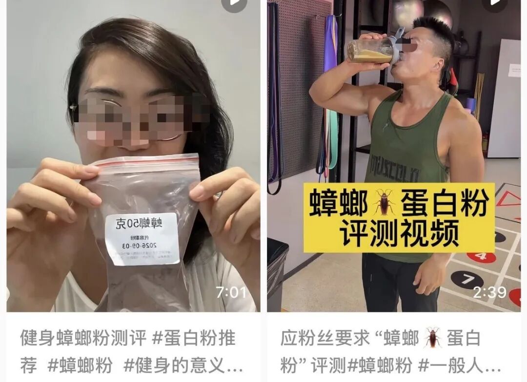 蛋白粉涨价就喝“蟑螂粉”?医生提醒...