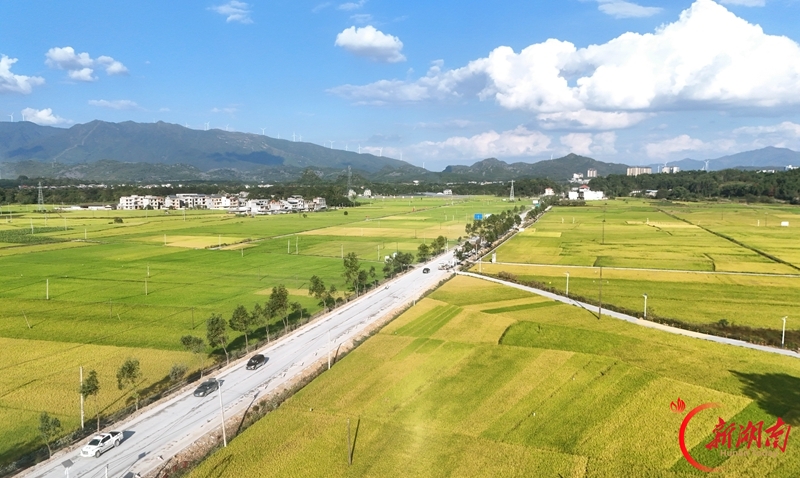 秋日乡村景如画