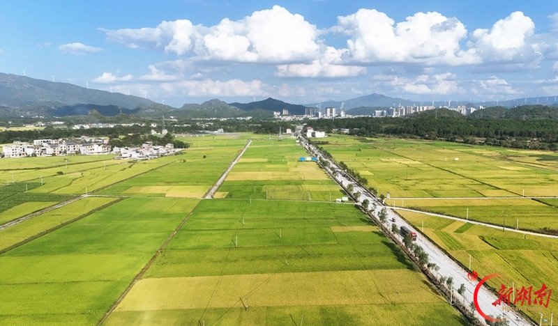 秋日乡村景如画