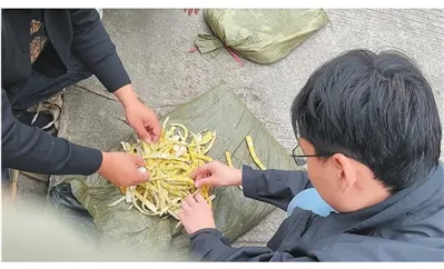 “硫磺熏制鲜竹笋”最新通报：已对有关加工原料及产品进行查封，对涉事人员依法开展调查取证