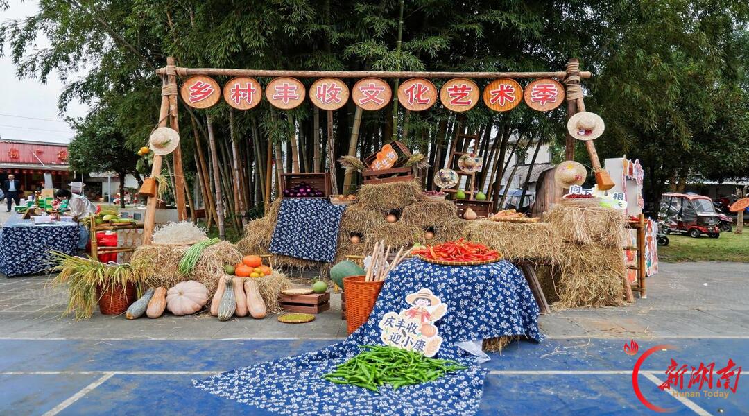 长沙市望城区茶亭镇静慎村第十届乡村丰收文化艺术季热闹启幕