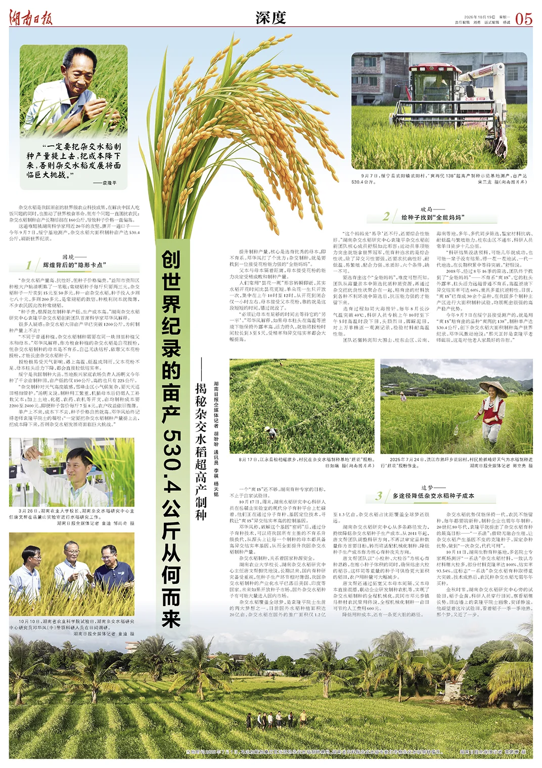深度丨创世界纪录的亩产530.4公斤从何而来——揭秘杂交水稻超高产制种