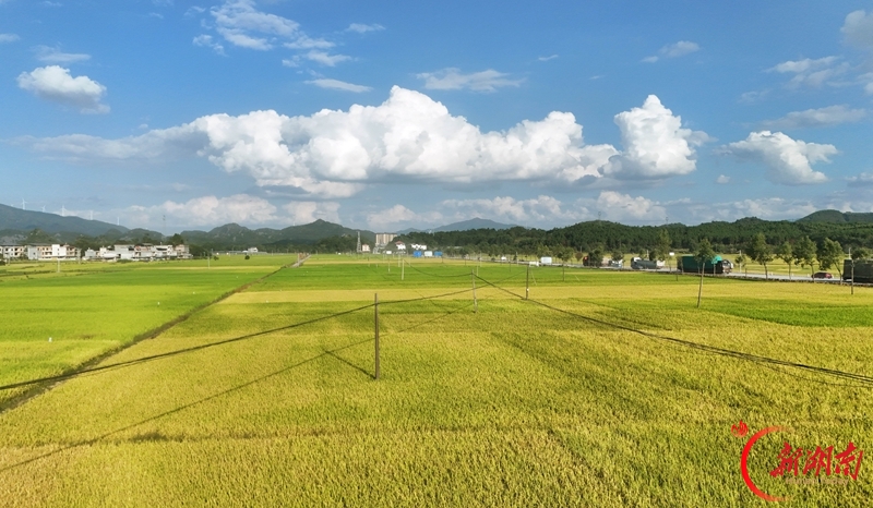 秋日乡村景如画
