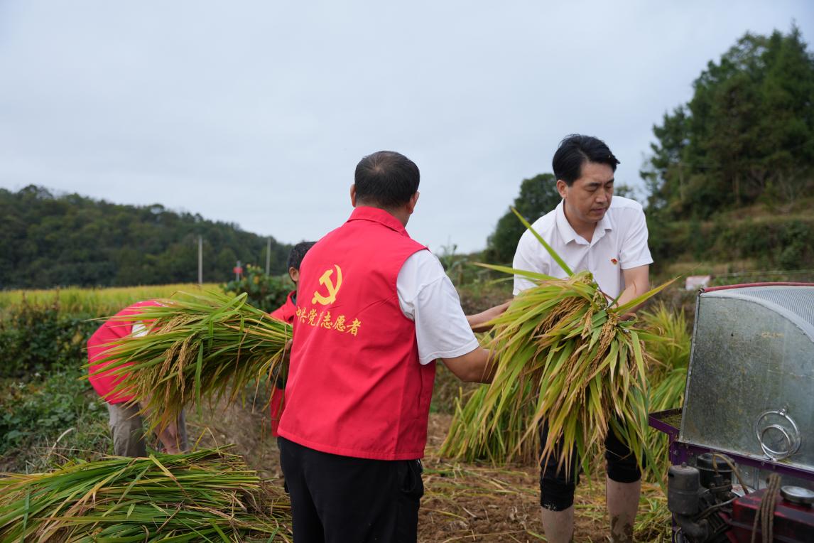 情暖重阳｜桃花坪街道白窑山村开展重阳敬老及新时代文明公益活动