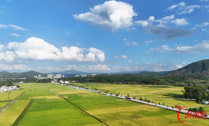 秋日乡村景如画