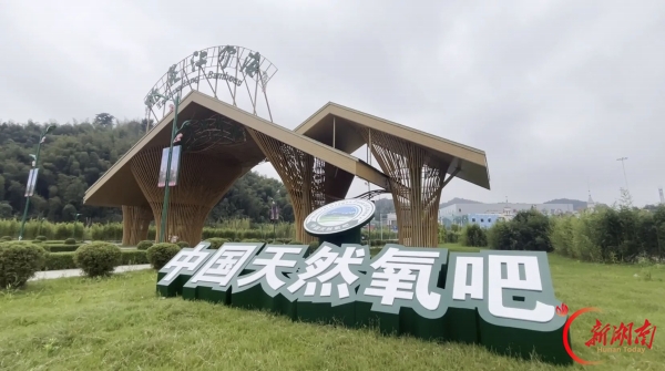 湖南日报特稿｜挺起身板 抢出势头——桃江县以“挺抢”作风推进“12345”工作思路落地见效