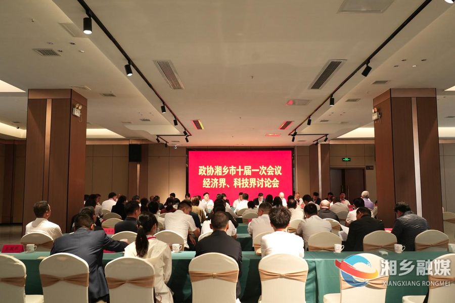 湘乡市领导参加各界别委员联组协商讨论