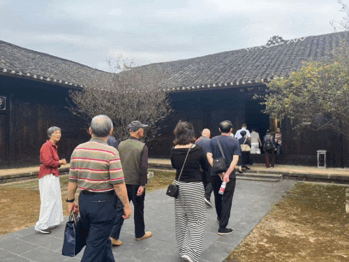 情暖重阳润桑榆！鼎城区多样敬老活动温情满满