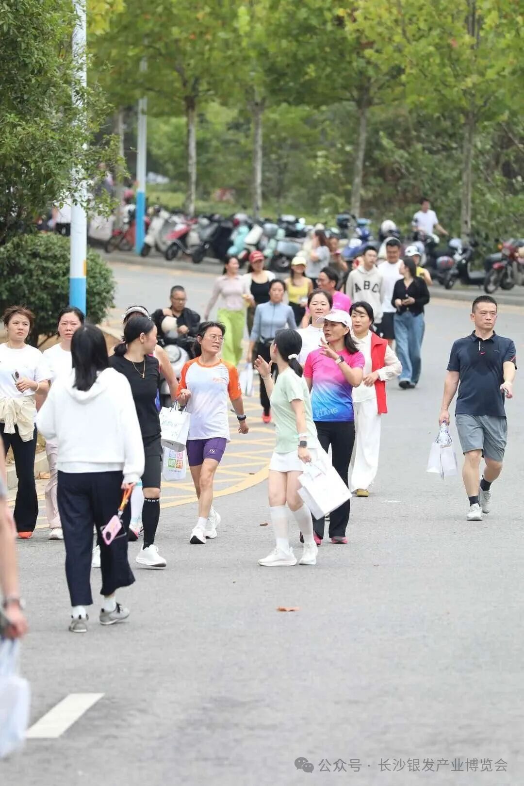 深化文体康养融合 赋能银发美好生活｜湖南子任网络科技携手银发产业博览会组委会，将在湘开展十场全民登山系列活动