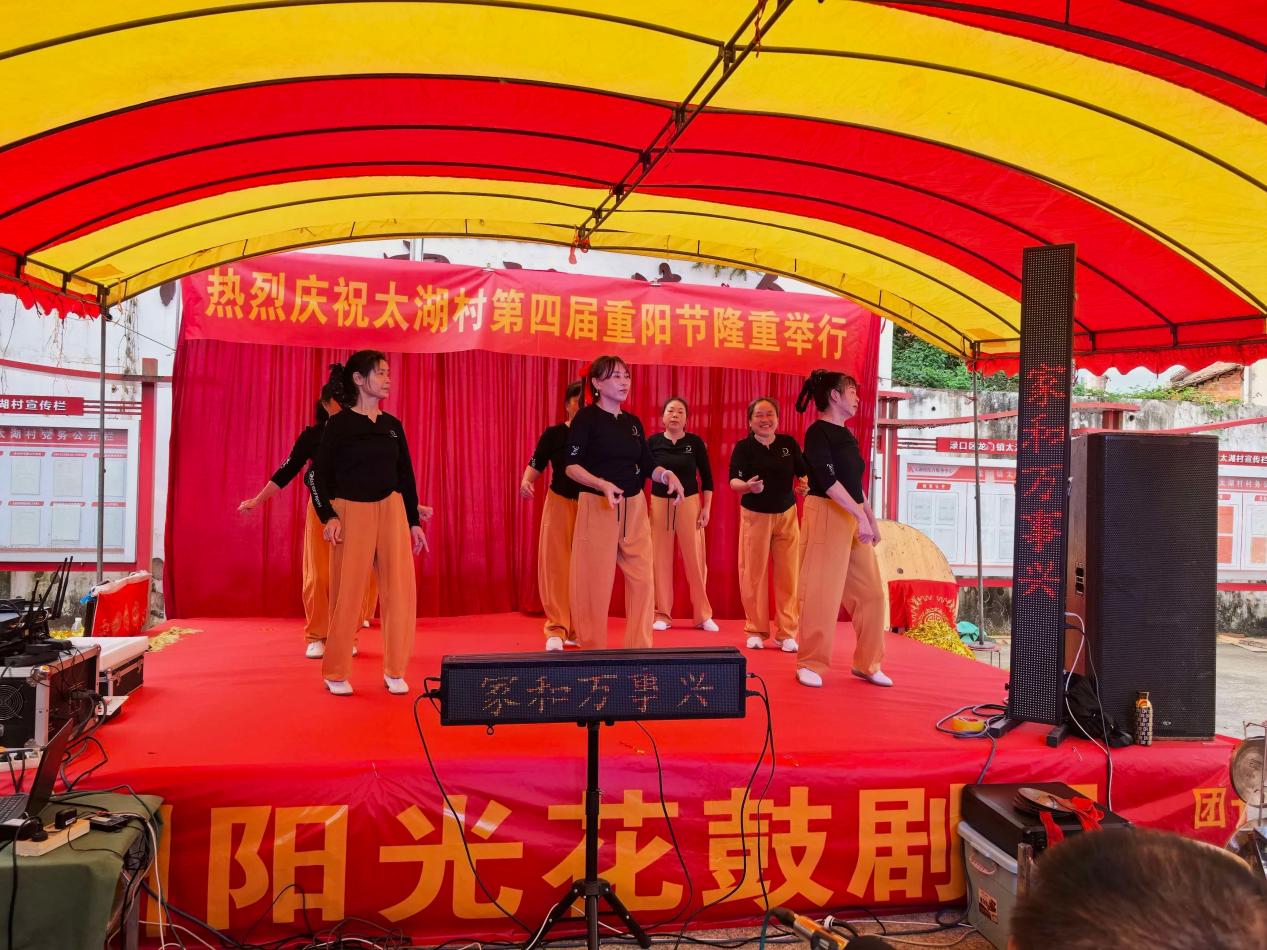 阵地聚人心 重阳暖桑榆——渌口区龙潭镇开展重阳节系列敬老活动