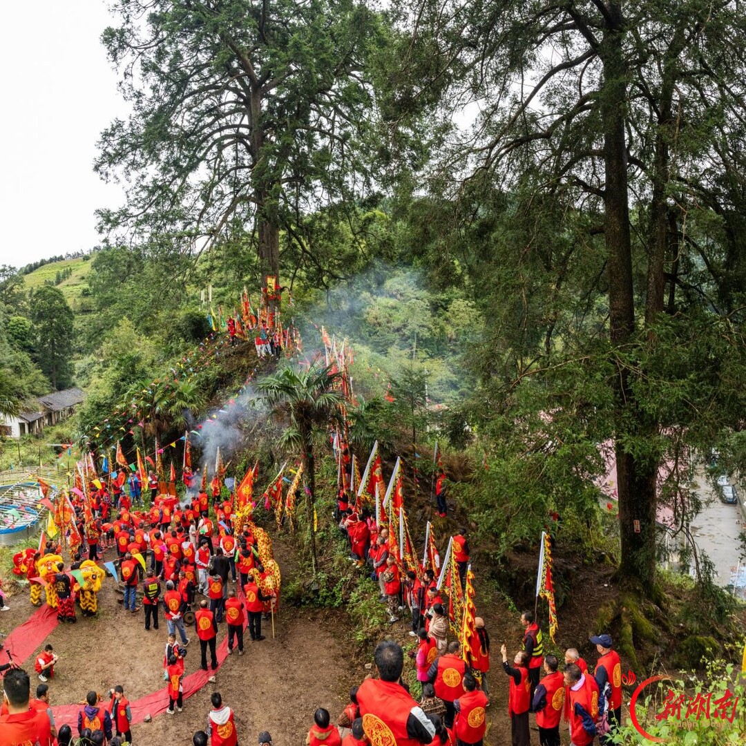 树活着，人就该回来——记湖南道县到江源村“朝树节”