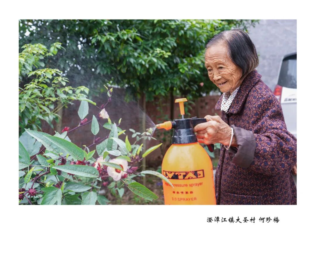 当时间不仅是时间——2026浏阳市百岁老人摄影展