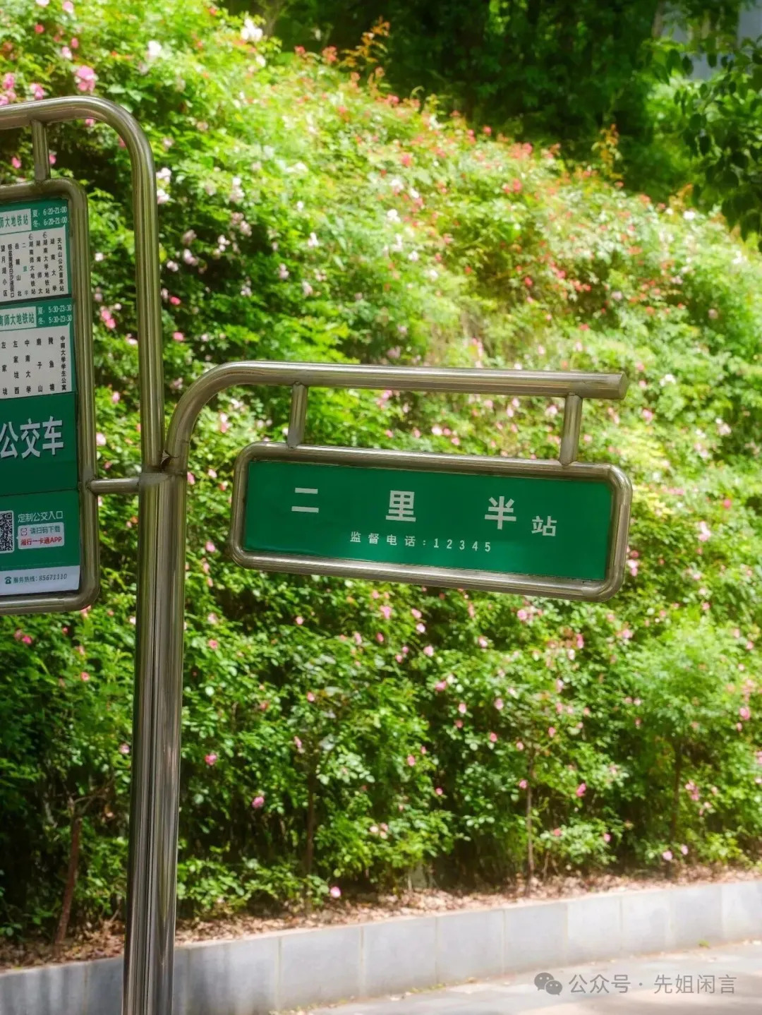 “瞎猫碰上死老鼠”——记湖南师院76级与77级、78级的论战