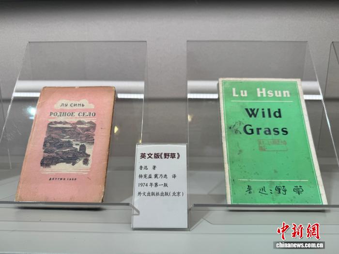 鲁迅文学版本馆千余册典籍对外开放