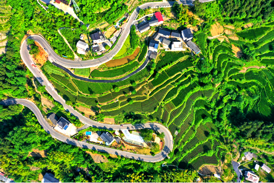 峰林蝶变五春秋 山水扬帆向一流——武陵源建设世界一流旅游目的地纪实