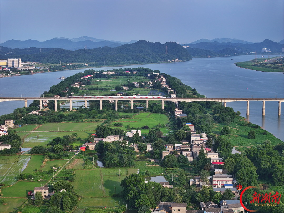 长沙江心洲上五彩秋|湖南秋色②