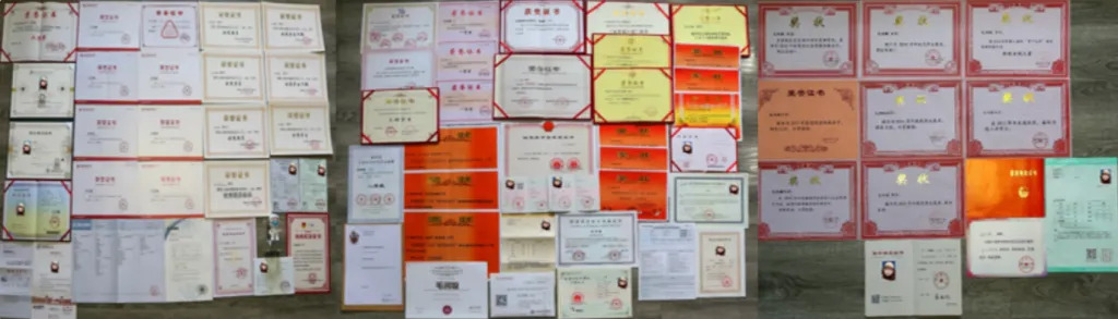读中本贯通的高分生们