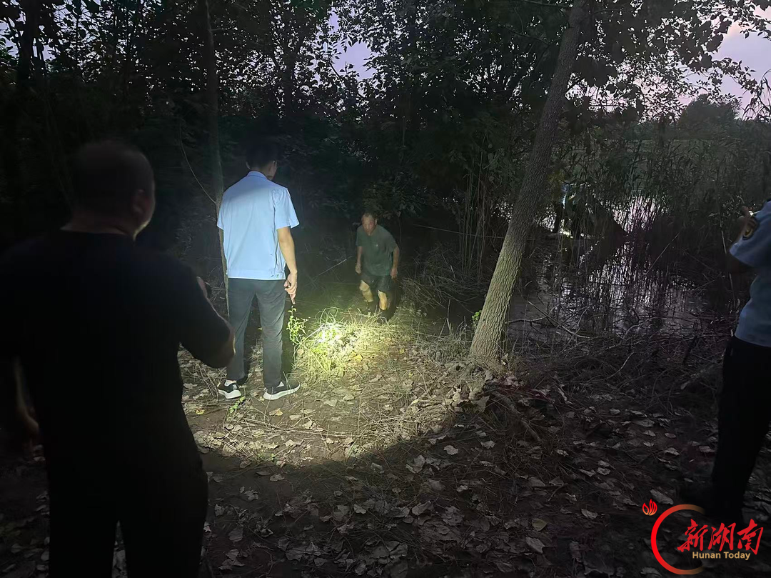 大通湖区｜夜间突击抓现行！河坝镇查获一起非法电鱼案