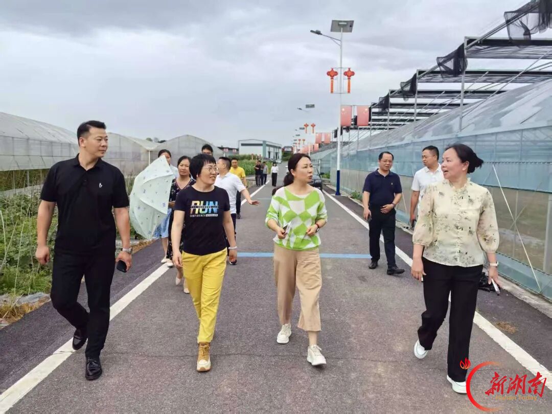 五年击鼓,同心作答——政协石鼓区第五届委员会五年工作综述
