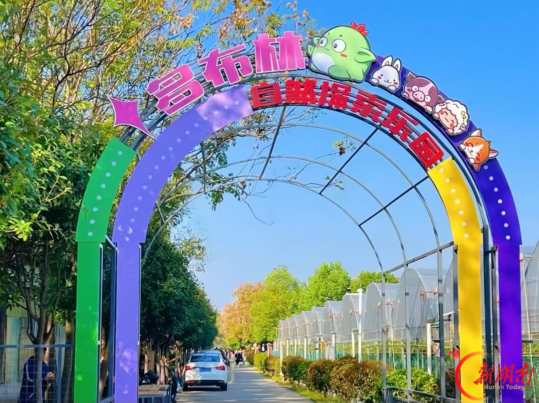 到南县去找北⑧｜田园乡村“慢慢游”