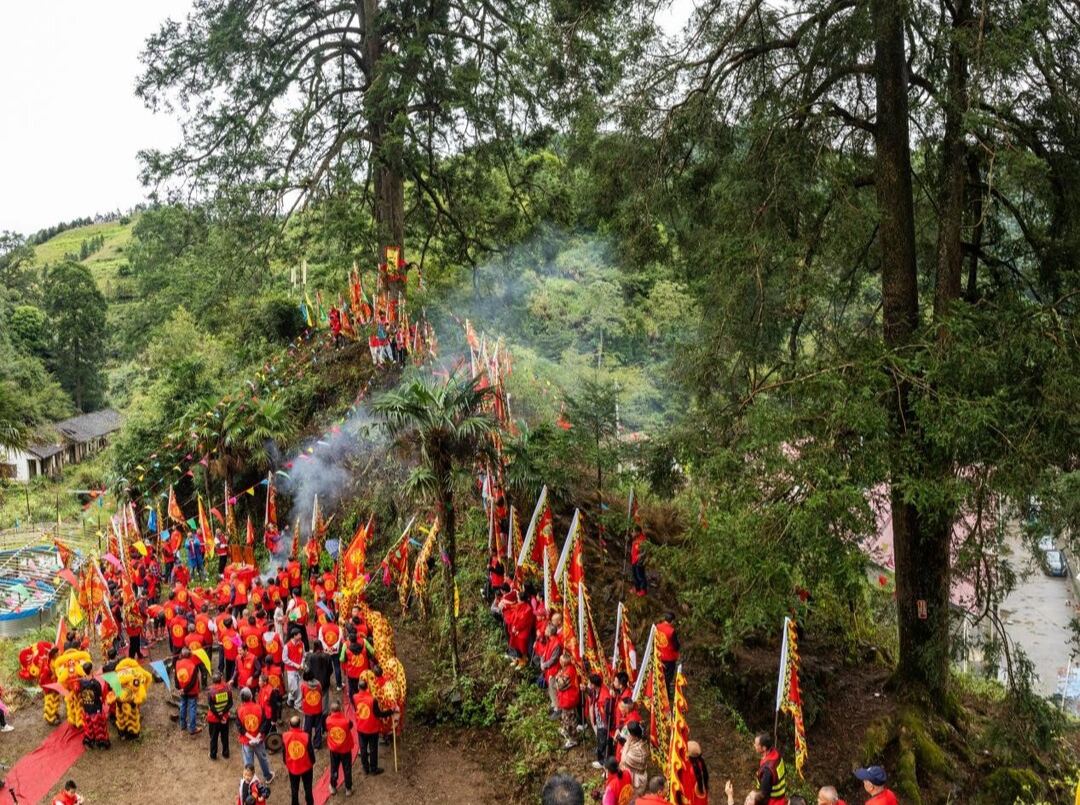 树活着，人就该回来——记湖南道县到江源村“朝树节”