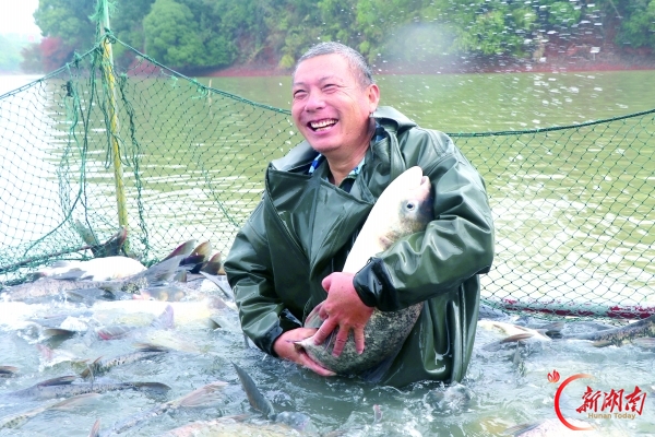 湖南日报特稿｜四江春水掀清波——解读沅江市“水产业”的三重浪