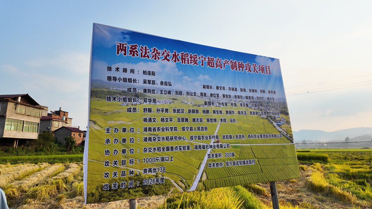 粒粒良种落平川，万山稻浪托国安——评深度报道《“种”落绥宁》
