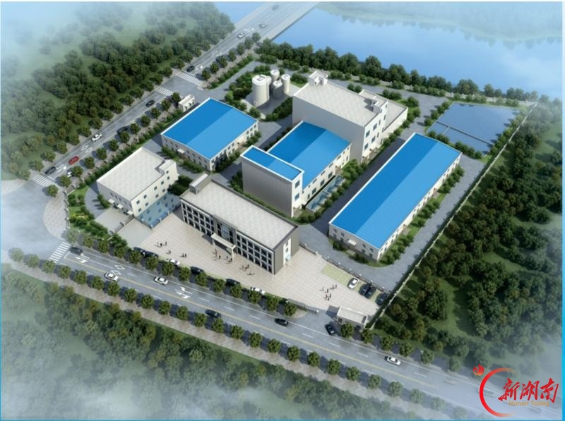 优化营商环境沃土，培育衡东产业森林  衡阳绿色盐碱产业基地等重大产业项目开工建设