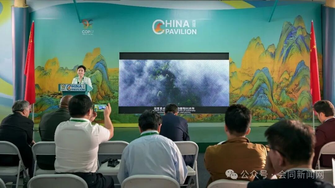 山林里的中国方案,湖南会同在COP17分享立体共生保护实践