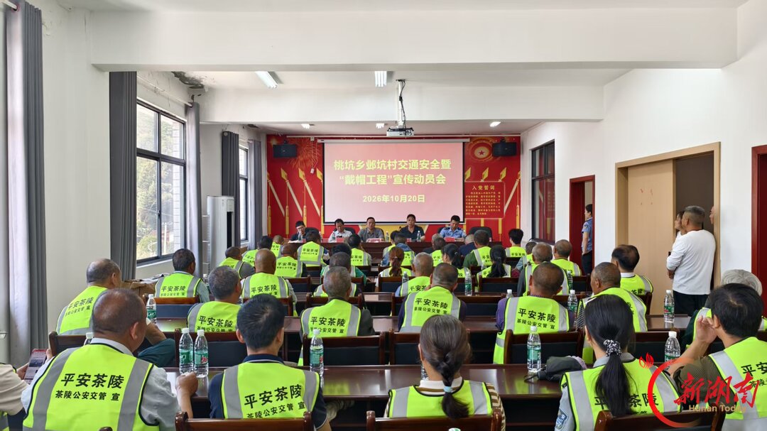 茶陵桃坑乡:宣传劝导双管齐下 筑牢农村“戴帽工程”安全防线