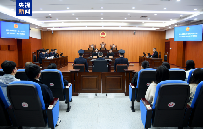 十四届全国政协教科卫体委员会原副主任杨小伟受贿案一审宣判