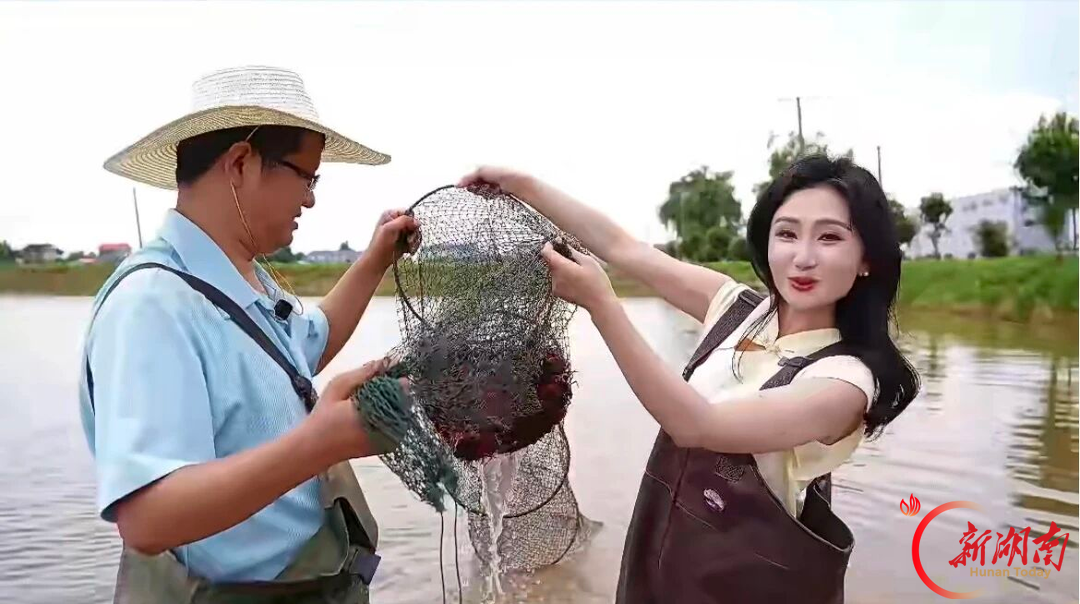 沿着藕池河看家乡|走进三仙湖