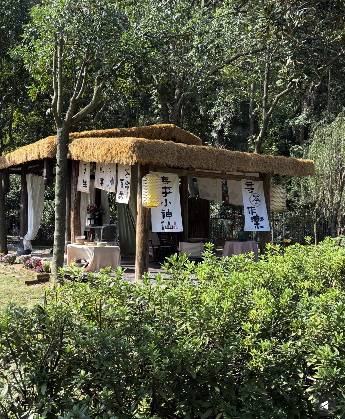 网友“鉴藏”常德3️⃣ | 周末好去处🌳森林里的艺术疗愈空间——亚林美术馆