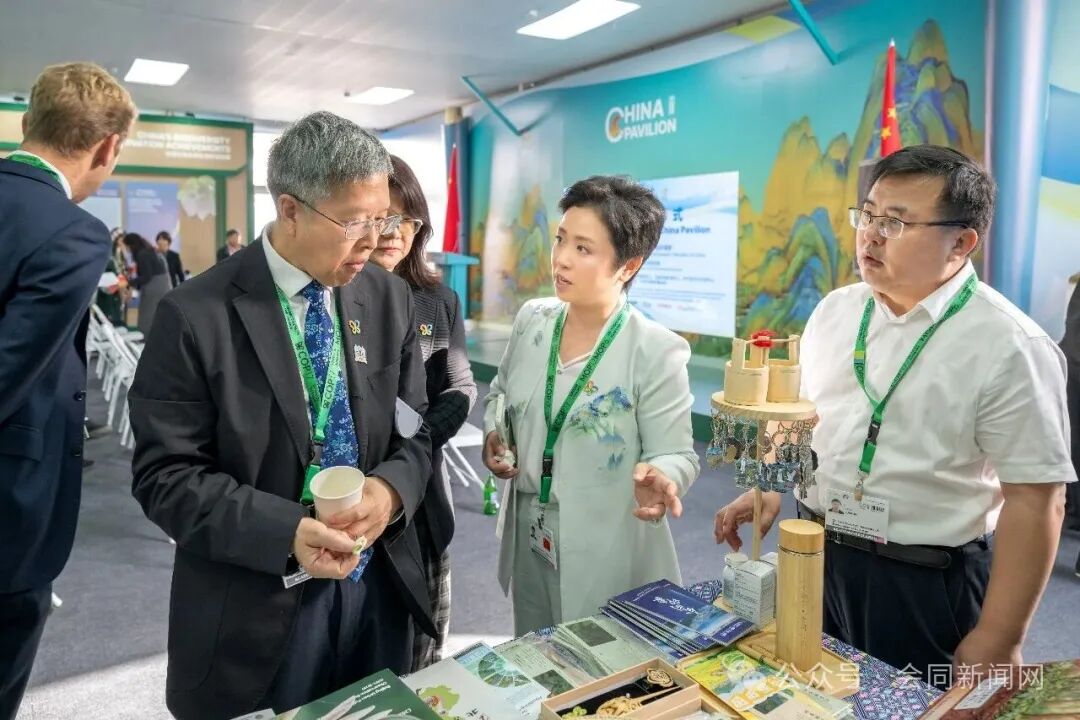 山林里的中国方案,湖南会同在COP17分享立体共生保护实践