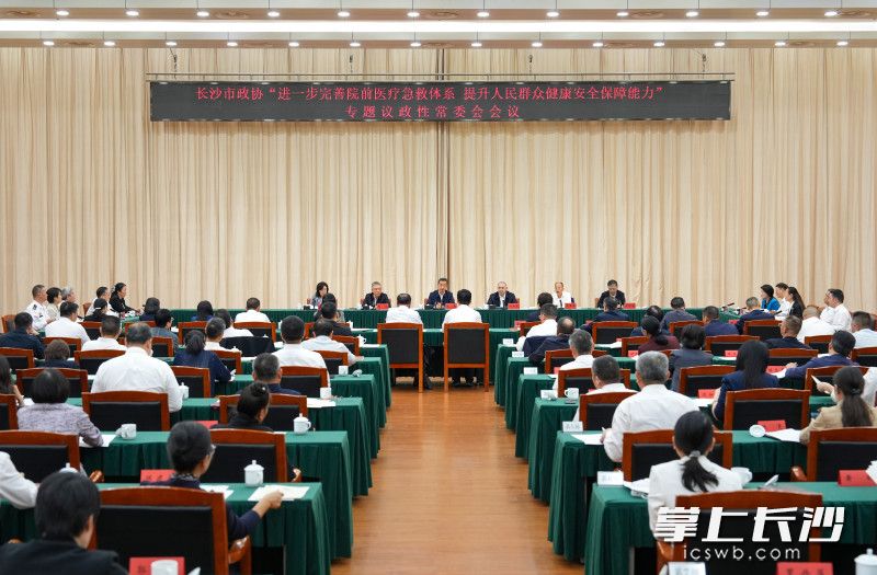 长沙市政协“进一步完善院前医疗急救体系 提升人民群众健康安全保障能力”专题议政性常委会会议召开 陈竞讲话