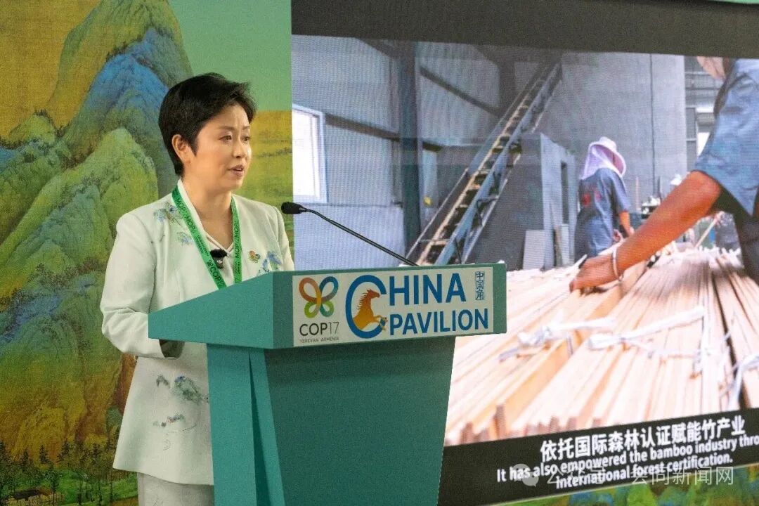 山林里的中国方案,湖南会同在COP17分享立体共生保护实践