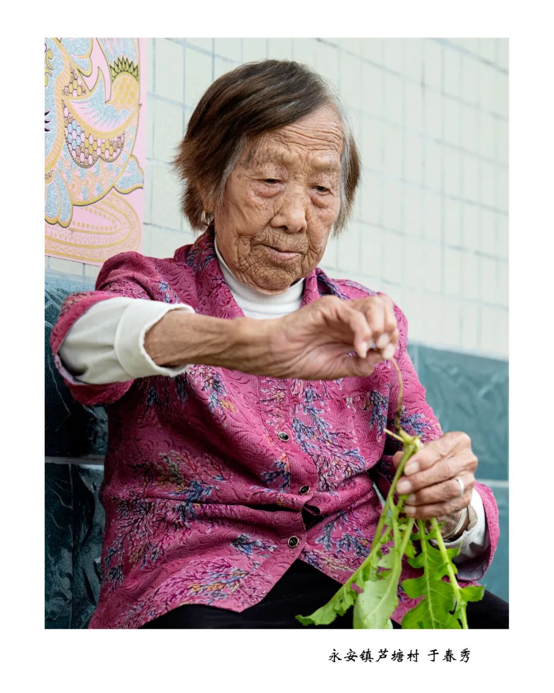 当时间不仅是时间——2026浏阳市百岁老人摄影展