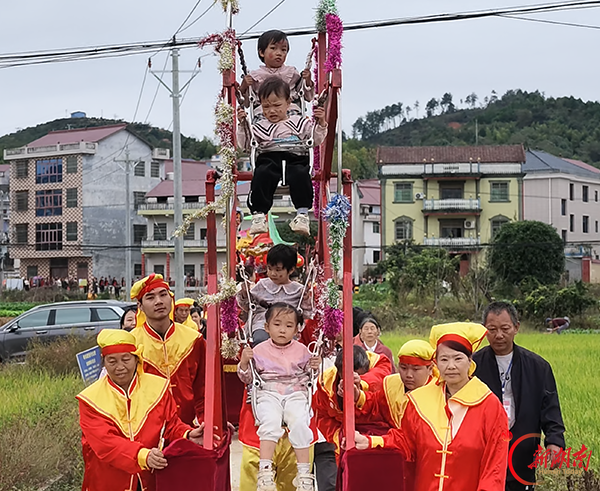 涟源:稻浪铺金“抬故事”,非遗焕彩庆丰收