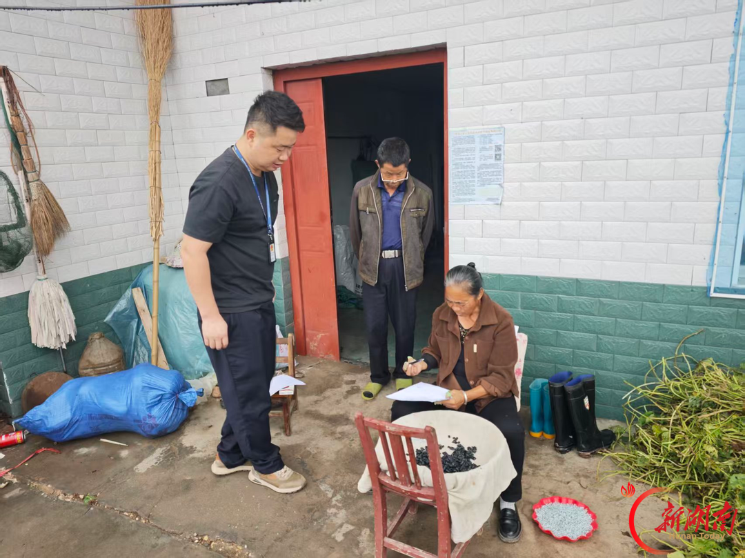大通湖区｜秸秆禁烧动真格！北洲子镇严格执法筑牢“防火墙”